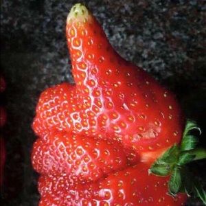 Meet your Posher, Yim